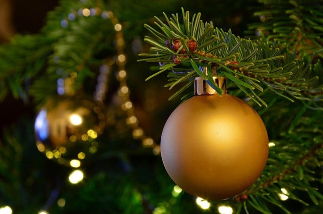 zum-klassichen-tannenbaum-gibt-es-schoene-nachhalt-cc0-pixabay-peggychoucair-211117_download Zum klassichen Tannenbaum gibt es schöne, nachhaltige und günstigere Alternativen, die sich vor allem lohnen, wenn du Weihnachten allein feierst.