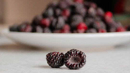 proteinreiches-obst-cc0--pixabay--ruslanababenko-260317 proteinreiches Obst