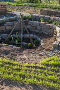 MS_28324 Kraterbeet mit Kräutern und Gemüse In einem Kraterbeet solltest du in Mischkultur anbauen.