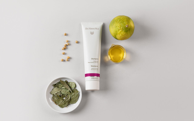 DRH_Niagara_Utopia_Slide4_Shampoo_1280x800px Dr. Hauschka Haarpflege Shampoo silikonfrei Naturkosmetik