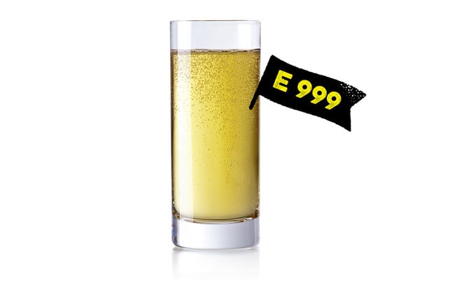 zusatzstoffe-E-999-ginger-ale-w- janvier-210310-1280x800 zusatzstoffe-E-999