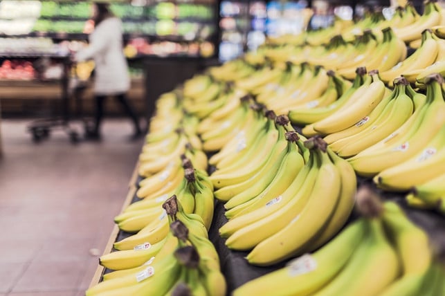 noch-etwas-gruen-so-findest-du-bananen-haeufig-im-s-cc0-pixabay-stocksnap-240819_download Noch etwas grün: So findest du Bananen häufig im Supermarkt vor.