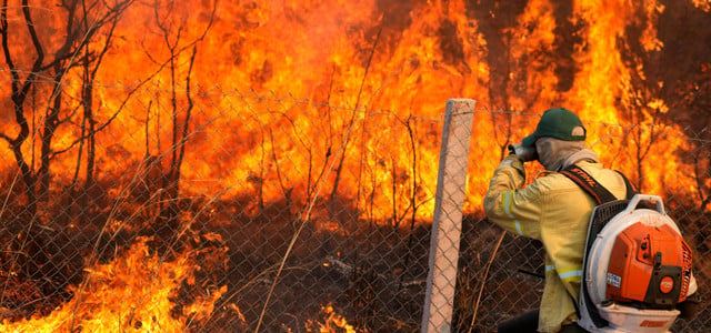 Waldbrand Amazonas Regenwald