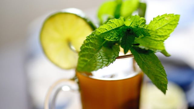 fenchel-minztee-der-ideale-tee-fuer-die-nacht-cc0--pixabay--congerdesign-251116 Fenchel-Minztee der ideale Tee für die Nacht