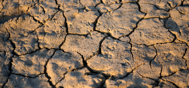 Italien will wegen der Dürre offenbar den Notstand ausrufen.