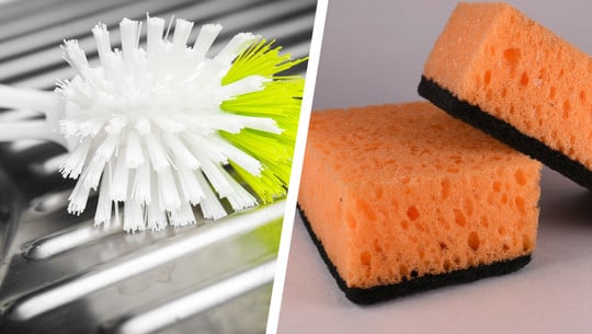 Schwamm oder Bürste: Was ist hygienischer? Die Antwort ist eindeutig Spülbürste und Spülschwamm