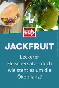 jackfruit-oekobilanz-w-190826 Jackfruit: leckerer Fleischersatz – doch wie steht es um die Ökobilanz?