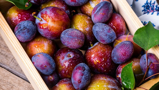 zwetschgen-oder-pflaumen-cc0-pixabay-daria-yakovleva-190710 Zwetschgen oder Pflaumen?