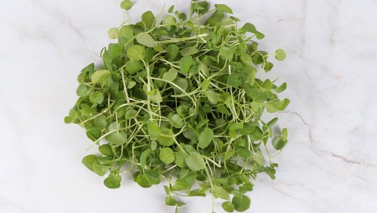 brunnenkresse-cc0-pixabay-kar0329-190428 Brunnenkresse