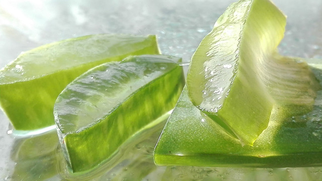be careful when buying products with aloe vera gel-da-cc0-pixabay-mozo190-240818_download When buying products containing aloe vera gel, make sure that they are certified natural cosmetics.