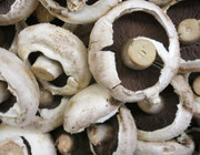 Portobello Pilze