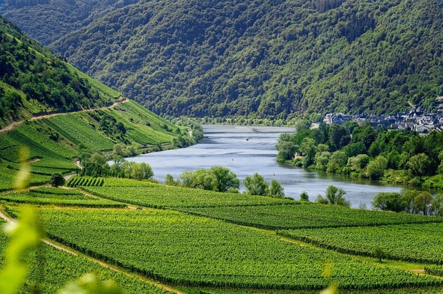 die-gegend-um-die-mosel-ist-bekannt-fuer-ihre-weinb-cc0-pixabay-tama66-210414_download Die Gegend um die Mosel ist bekannt für ihre Weinberge.