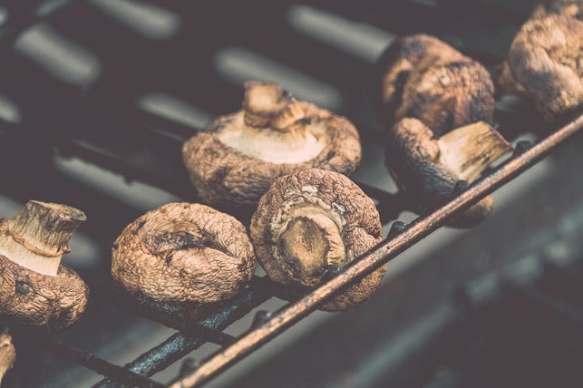 champignons-lassen-sich-pur-oder-mit-kraeuterbutter-cc0-pixabay-scheko46-190403_download Champignons lassen sich pur oder zum Beispiel mit Kräuterbutter grillen.