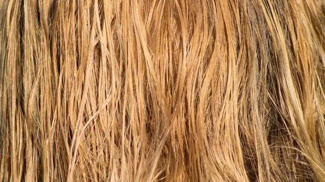 mit-nassen-haaren-schlafen-cc0-pixabay-monsterkoi-230103 mit nassen haaren schlafen