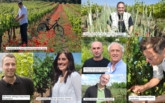 Nachhaltigkeit bei Wein