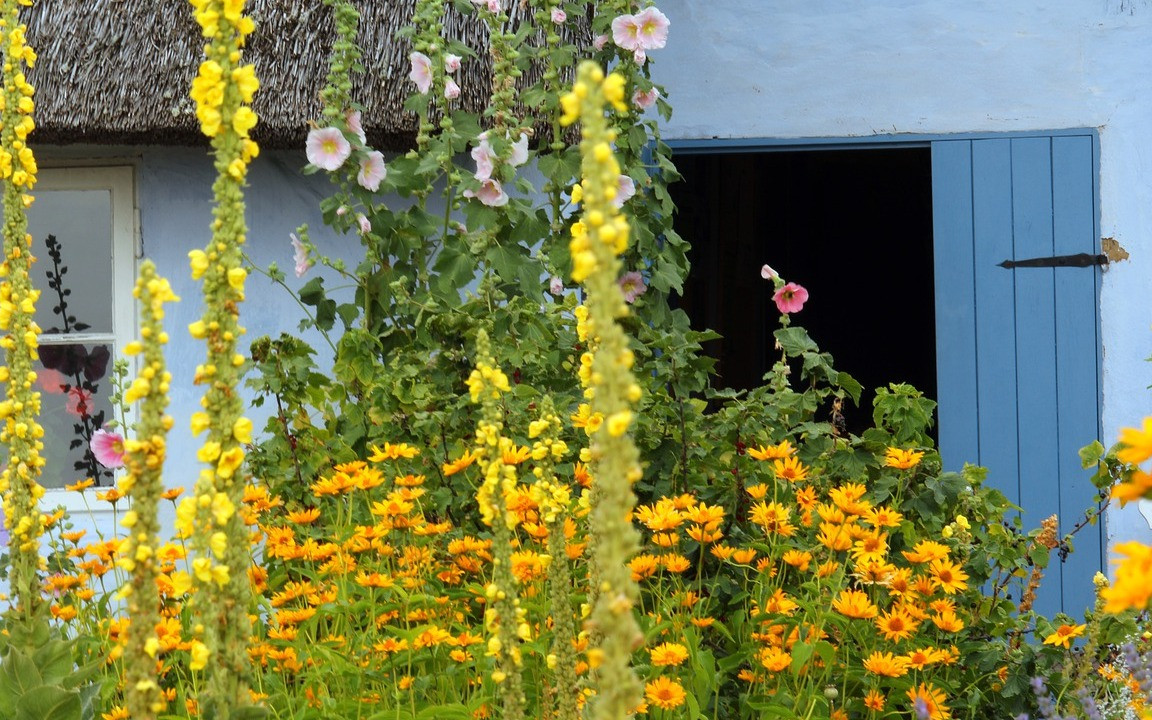 Heimische Pflanzen: Diese eignen sich am besten fr den Garten - Utopia.de