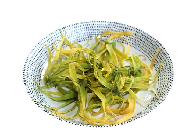 ylang-ylang-blueten-cc0-pixabay-mayapujiati-190125_download Ylang-Ylang-Öl wird auch Ylang-Ylang-Blüten gewonnen.