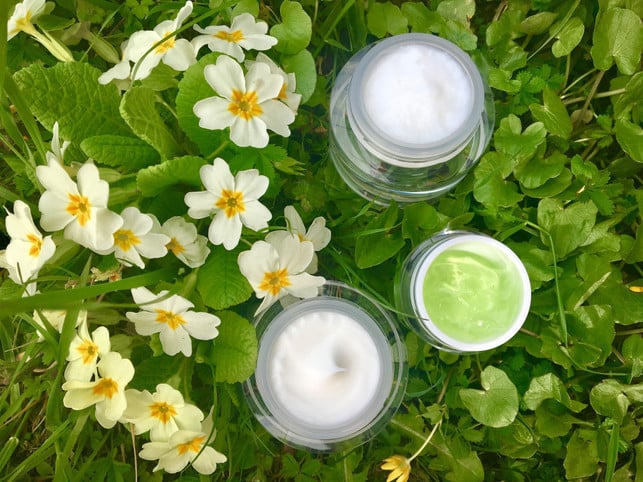 ALS-BALSAM-KANN-ENGELWURZ-BE-CHELFUNG-CC0--Pixabay-photoForyou-250618_Download Angel root can help as a balm with a cold.