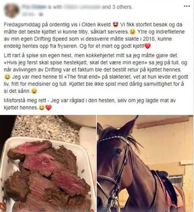 pferdefleisch-reiterin-pferd-s-facebook-pia-olden-191014 Pferd, Pferdefleisch, Reiterin