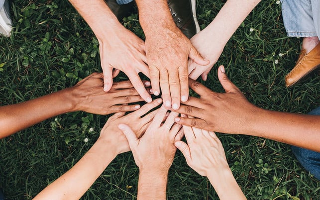 wollen-deine-freunde-ebenfalls-vegetarier-werden-cc0-public-domain-pexels-rawpixelcom-190702_download Wollen deine Freunde ebenfalls Vegetarier werden?