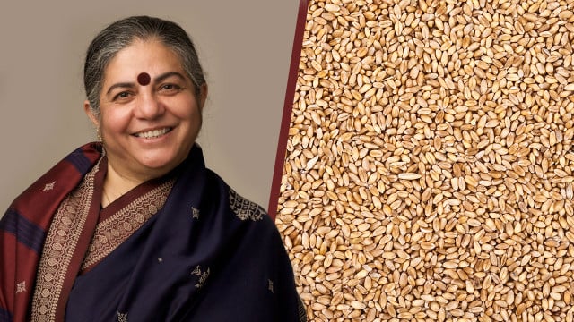 Vandana-Shiva-cp-Bernward-Geier-200204-1280x720