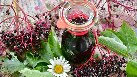 holunderbeerensirup-cc0-pixabay-ritae-190810 holunderbeerensirup