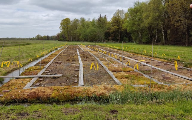 Paludikultur: Zucht verschiedener Torfmoossorten in Schottland Paludikultur: Zucht verschiedener Torfmoossorten in Schottland