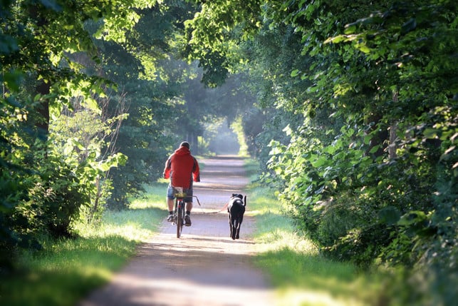 Driving e-bike is less fitness-intensive than conventional cycling, but can still be worthwhile.