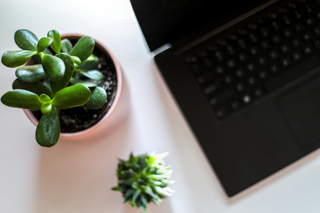gruenpflanzen-sorgen-fuer-mehr-wohnlichkeit-im-homeo-cc0-pixabay-izzyestabrook-200511_download Grünpflanzen sorgen für mehr Wohnlichkeit im Homeoffice.