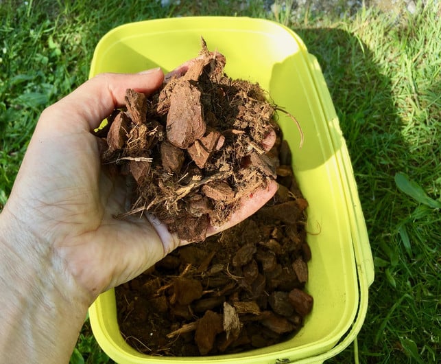 tropische-orchideen-brauchen-spezielles-substrat-martina-naumannutopia-180513_download Tropische Orchideen brauchen spezielles Substrat