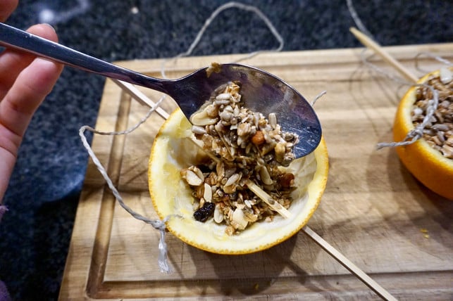 vogelfutter-in-orangenschalen-zu-fuellen-ist-ein-sc-laura-hintereder-utopia-241223_download Vogelfutter in Orangenschalen zu füllen ist ein schönes Upcycling-Projekt, das auch mit Kindern klappt.