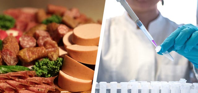 Fleisch aus Bioreaktor: Bärchen-Wurst-Hersteller orientiert sich neu