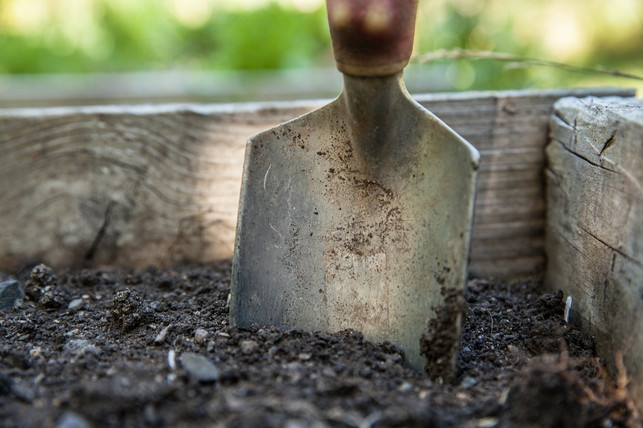 Alte Blumenerde aufbereiten So machst du sie wieder fruchtbar Utopia.de