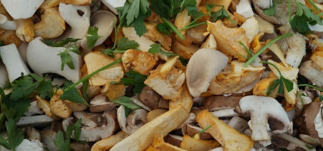 Frische Pilze und Kräuter sind eine leckere Herbstmahlzeit.