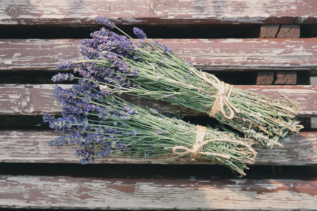 getrockneter-lavendel-riecht-nicht-nur-gut-und-wirkt-beruhigend-sondern-vertreibt-auch-kleidermotten-cc0pixabaypexels-170615 Getrockneter Lavendel riecht nicht nur gut und wirkt beruhigend sondern vertreibt auch Kleidermotten