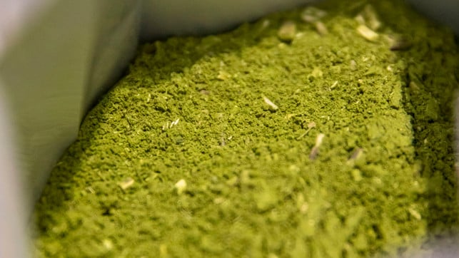 Natürlicher Koffein-Kick: Mate oder Kaffee? Natürlicher Koffein-Kick: Mate oder Kaffee?