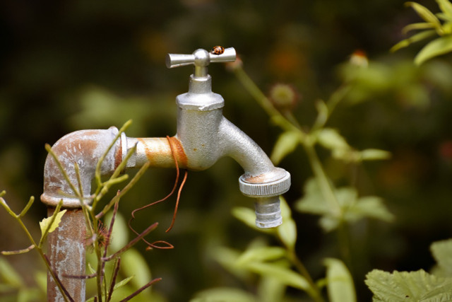 Old taps in nature are also a source of danger for legionella.