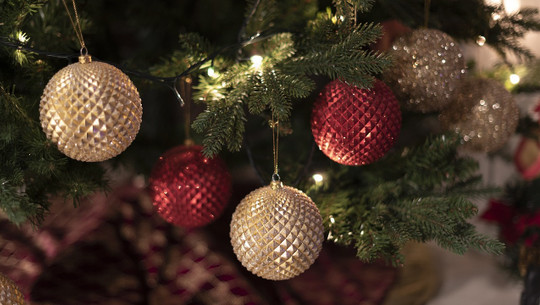 wann-weihnachtsbaum-kaufen-cc0-pixabay-john_ioannidis-241214 Wann Weihnachtsbaum kaufen?