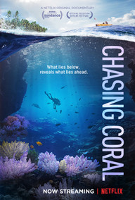 filmtipp-chasing-coral-netflix-plaskat-z-170726 Doku "Chasing Coral" auf Netflix