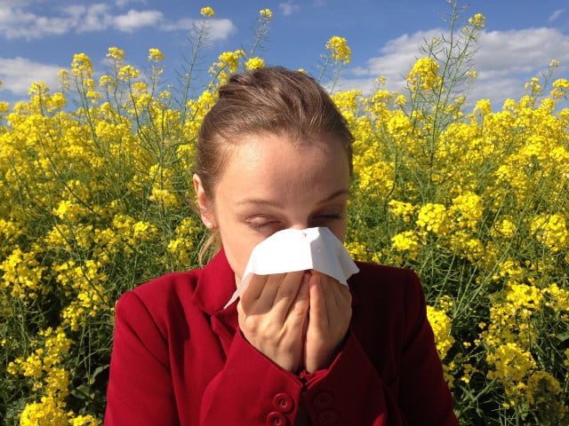 If your child has hay fever, you can provide relief with home remedies.