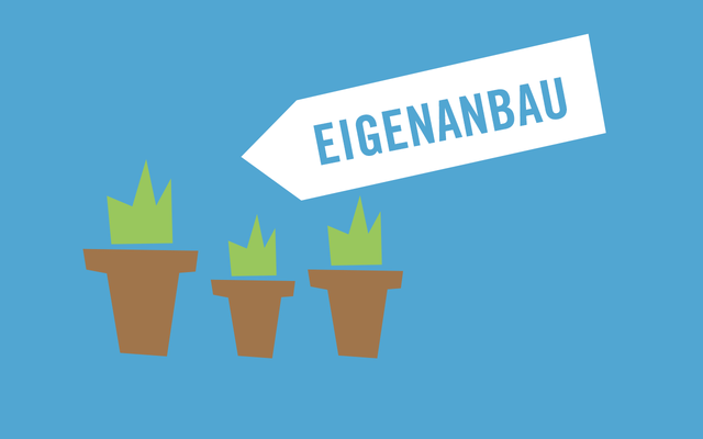 Immer Regional: Eigenanbau Immer Regional: Eigenanbau