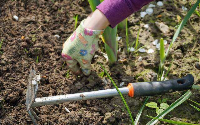 bienen-helfen-natuerlicher-pflanzenschutz-pb-cc0-170418-1280x800 Bienen helfen: natürlicher Pflanzenschutz statt Spritzmittel