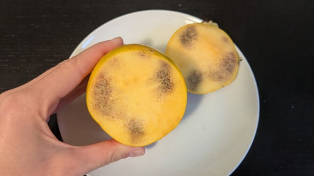 kaki-dunkle-flecken-utopia-251030 kaki dunkle flecken