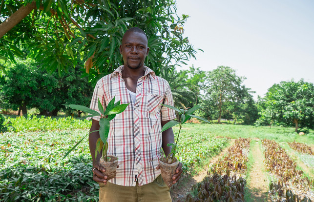 Treedom_SA_Farmer2_Ghana_1280x800px Agroforstwirtschaft hat eine lange Tradition und reicht sogar bis in die Römerzeit zurück.