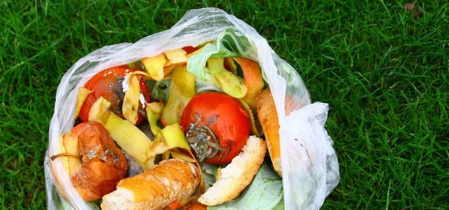 bioplastik-biokunststoff-w-Patryssia-160718-1280x600 Die Bio-Plastiktüte gehört nicht in den Biomüll.