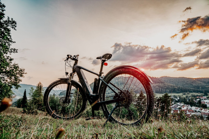 langstrecken fahrrad kaufen Fiido Titan – Offroad-Fatbike für Jagd und Touren Holzbox mit eingraviertem dōTERRA-Logo Category:E Bikes MTB Cross Fully_Fox Float DPS EVOL  185x55mm (27.5: 165x45mm) Model:NFC Card