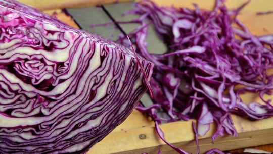 rotkohl-einkochen-cc0-pixabay-congerdesign-200924 rotkohl einkochen