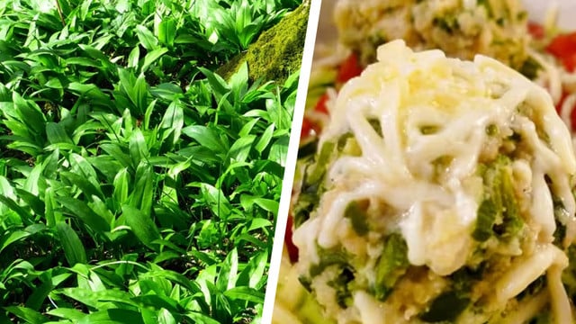 Bärlauch-Rezepte: Ideen für den Frühling zum Nachkochen Bärlauch-Rezepte: Ideen für den Frühling zum Nachkochen