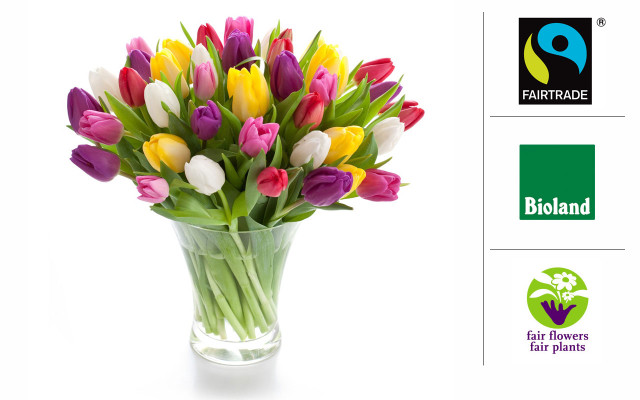 fair trade produkte blumen fair trade produkte blumen