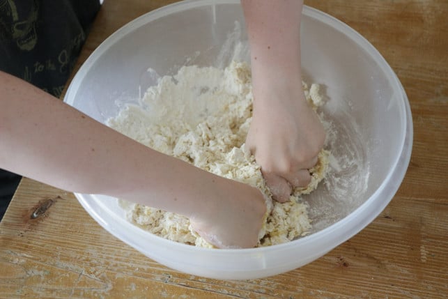 alle-zutaten-egal-ob-mit-oder-ohne-ei-grndlich-vermischen-utopiakatbliem-170629 Alle Zutaten, egal ob mit oder ohne Ei, gründlich vermischen.